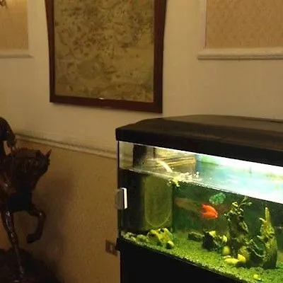 Repubblica Otel 3*
